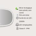 Miroir LED organique en verre argenté VELORE