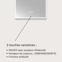Miroir LED arche 90x50cm avec rétroéclairage