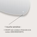 Miroir LED galet L80/120cm antibuée