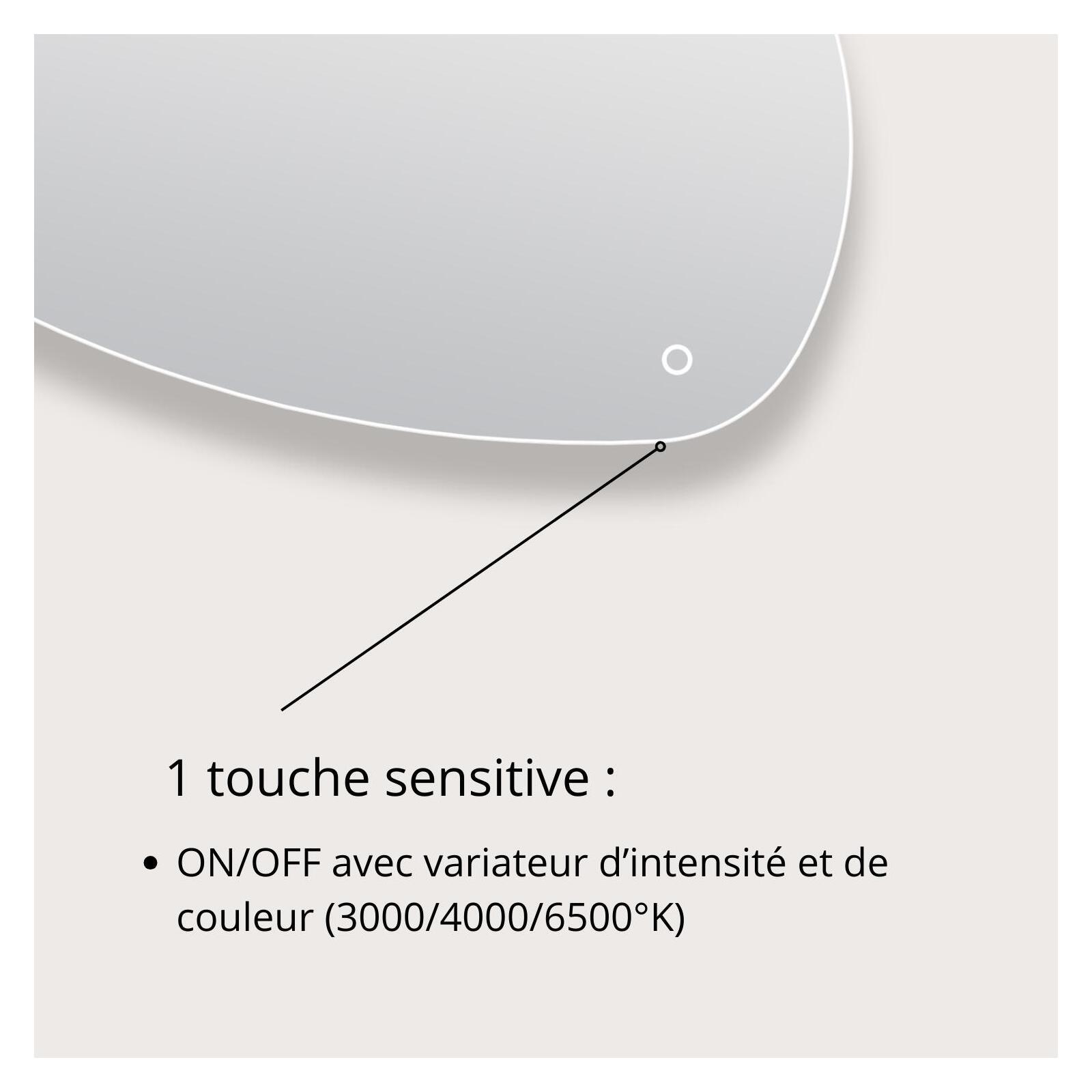 Miroir LED galet L80/120cm antibuée