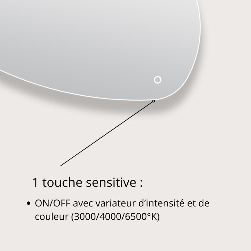 Miroir LED galet L80/120cm antibuée