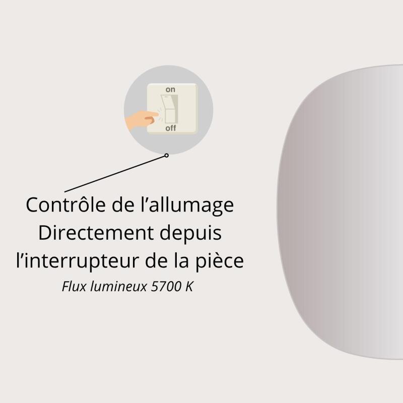 Miroir LED 70x78 cm organique