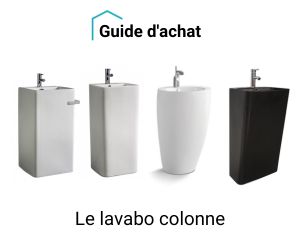 Guide d'achat sur le lavabo colonne