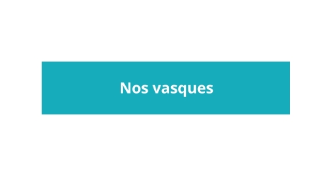 Nos vasques